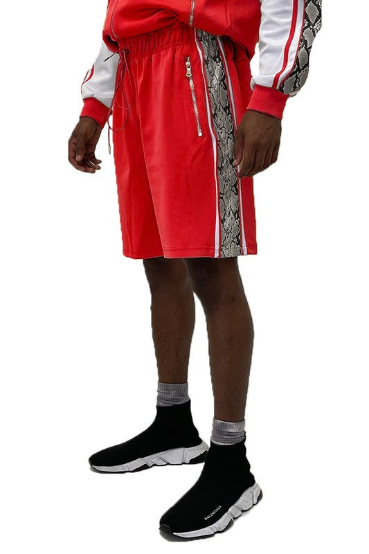 Snake Print Shorts - Scarvesnthangs