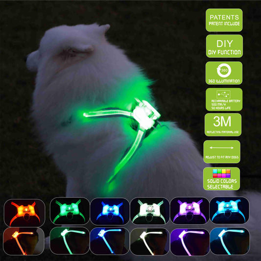 Usb Rechargeable Led Pet Collar - Illuminate Your Dog's Style!-0