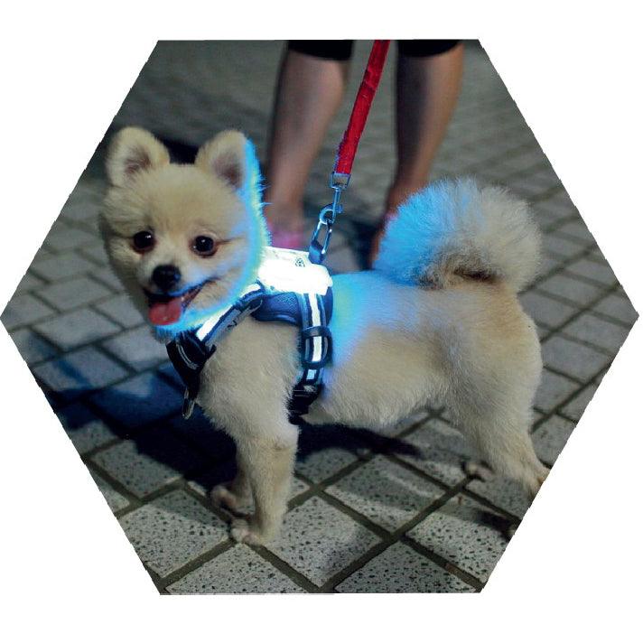 Usb Rechargeable Led Pet Collar - Illuminate Your Dog's Style!-4