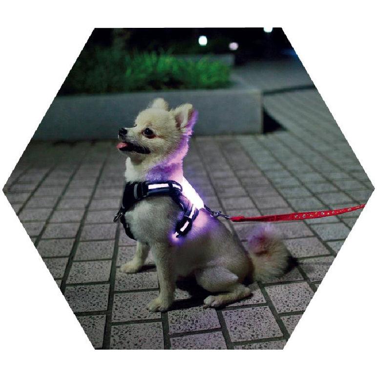 Usb Rechargeable Led Pet Collar - Illuminate Your Dog's Style!-2