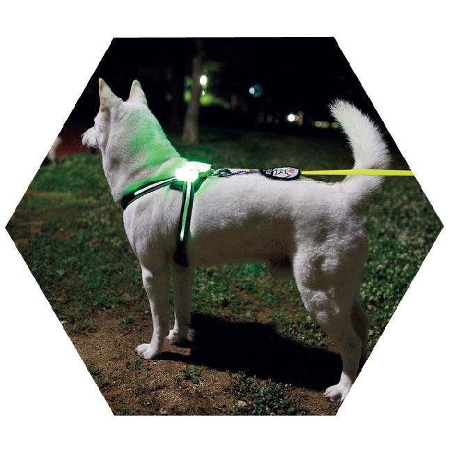 Usb Rechargeable Led Pet Collar - Illuminate Your Dog's Style!-1