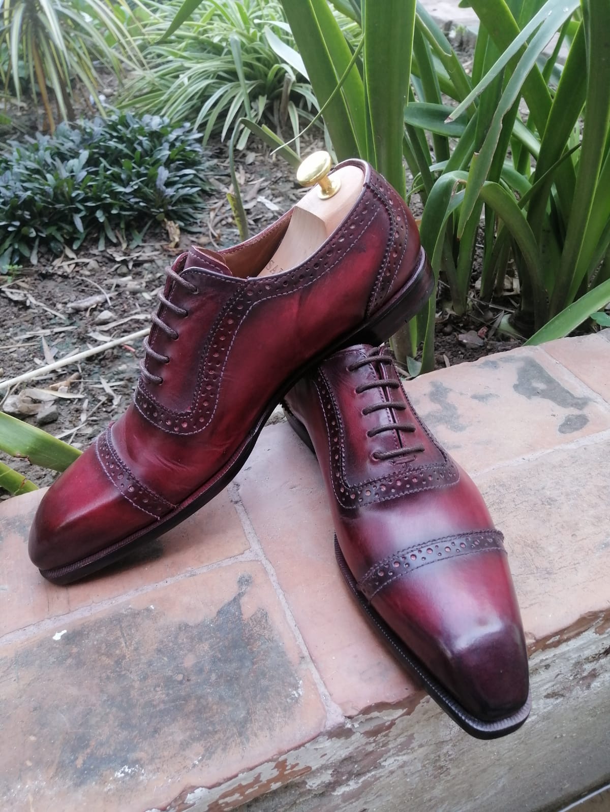 Martino - Burgundy Oxford Shoes-3