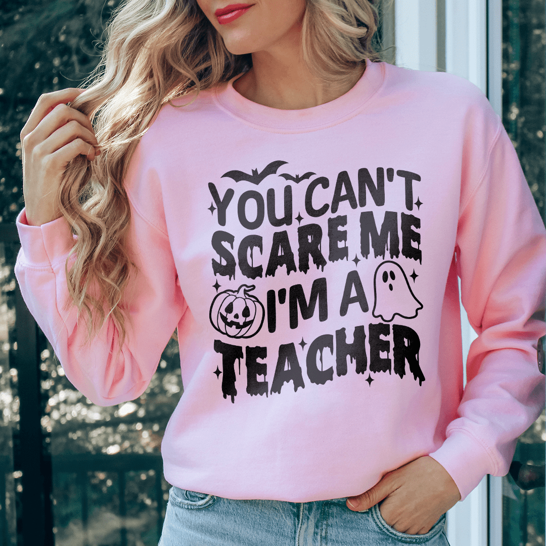 You Cant Scare Me I'm A Teacher-2