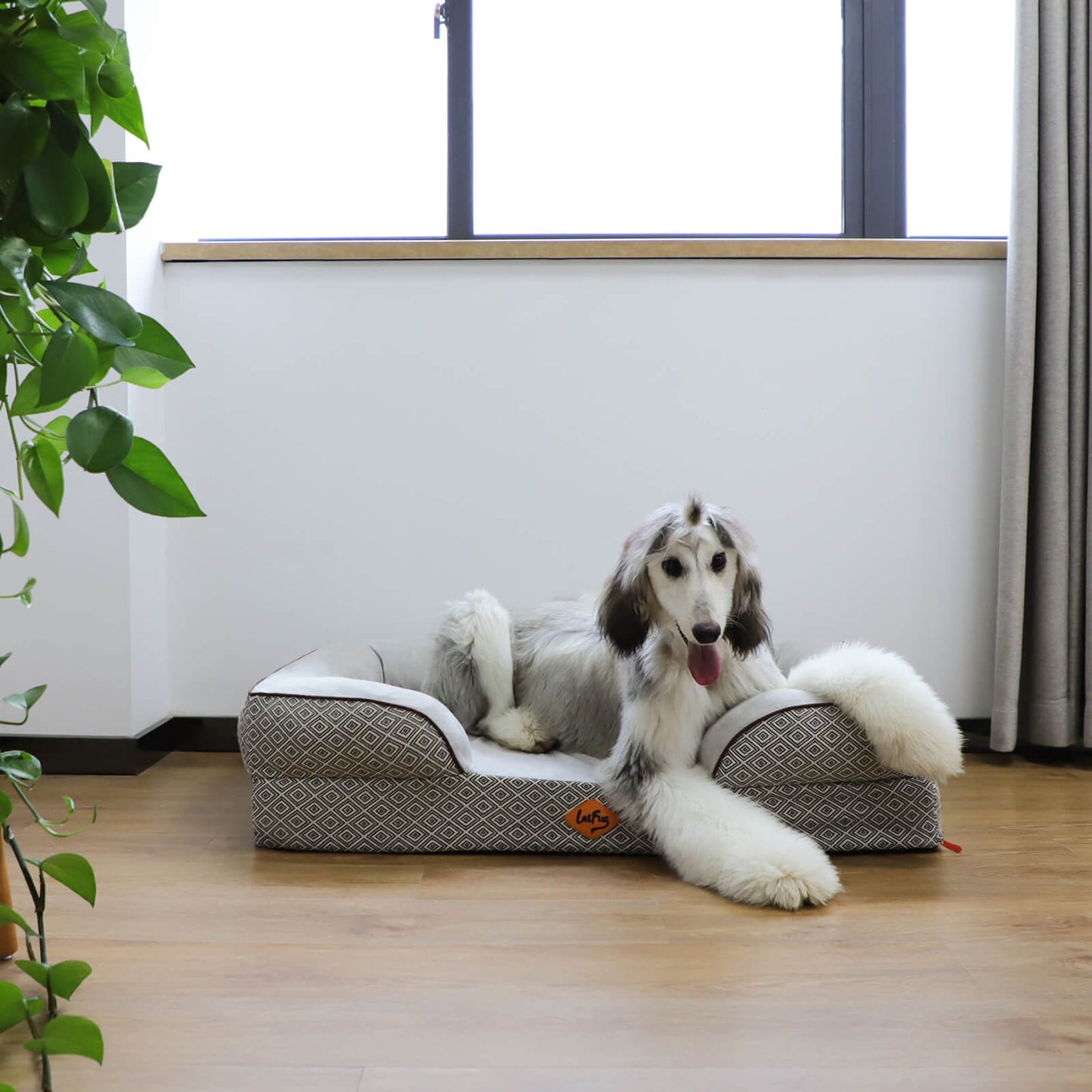 Laifug Plaid Durable Pet Sofa - Scarvesnthangs