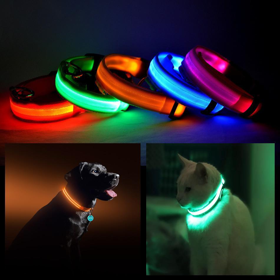 Led Pet Safety Halo Style Collar - Green X-large - Scarvesnthangs