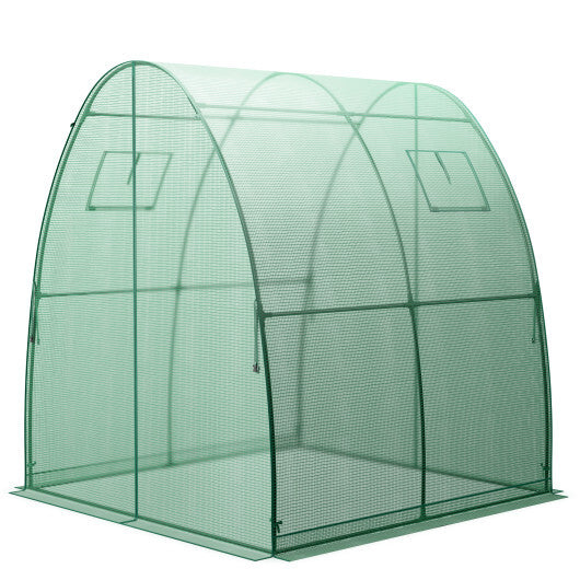 6 x 6 x 6.6 FT Outdoor Wall-in Tunnel Greenhouse-Green - Scarvesnthangs