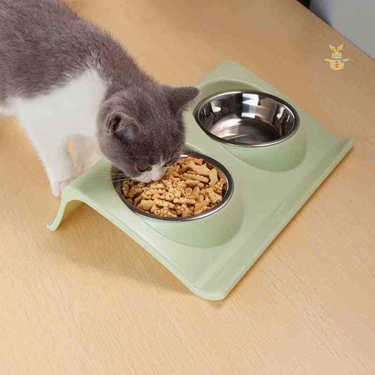 Double Pet Bowl Stainless Steel Water and Food Bowls - Scarvesnthangs